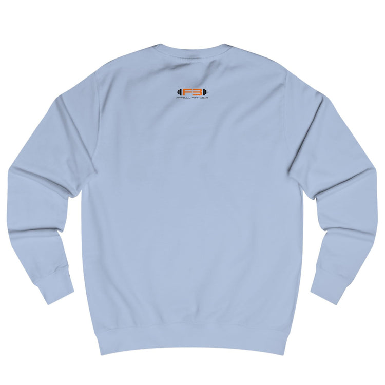 Blue, sporty hoodie for fitness and crossfit by the Fitbull brand, branded with a logo, back view.