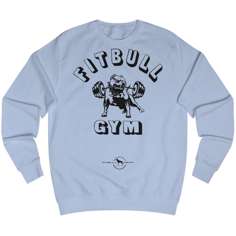 bluesports hoodie for fitness and bodybuilding from the Fitbull brand, branded with a motivating motif, front view