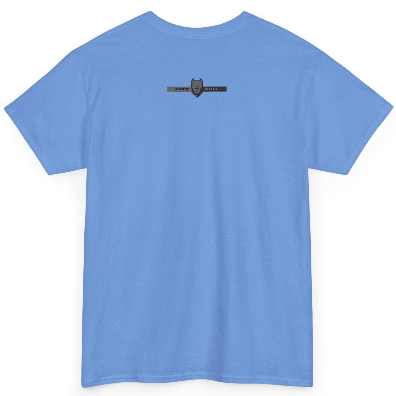 A Fitbull t-shirt with a Conquer motivational graphic design back carollina blue.
