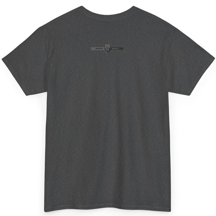 A Fitbull t-shirt with a Conquer motivational graphic design back dark grey.