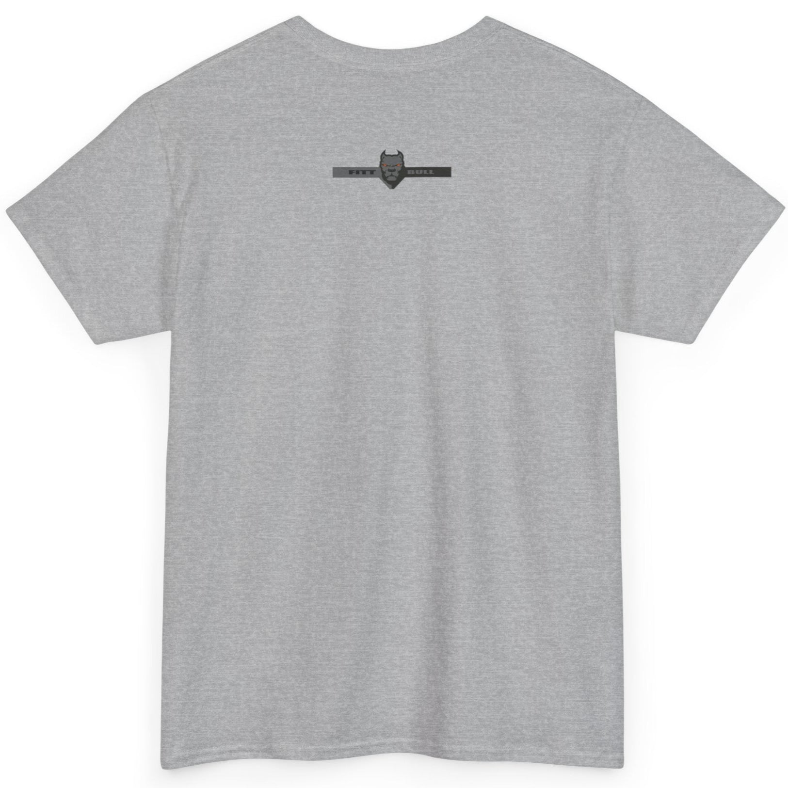 A Fitbull t-shirt with a Conquer motivational graphic design back grey.