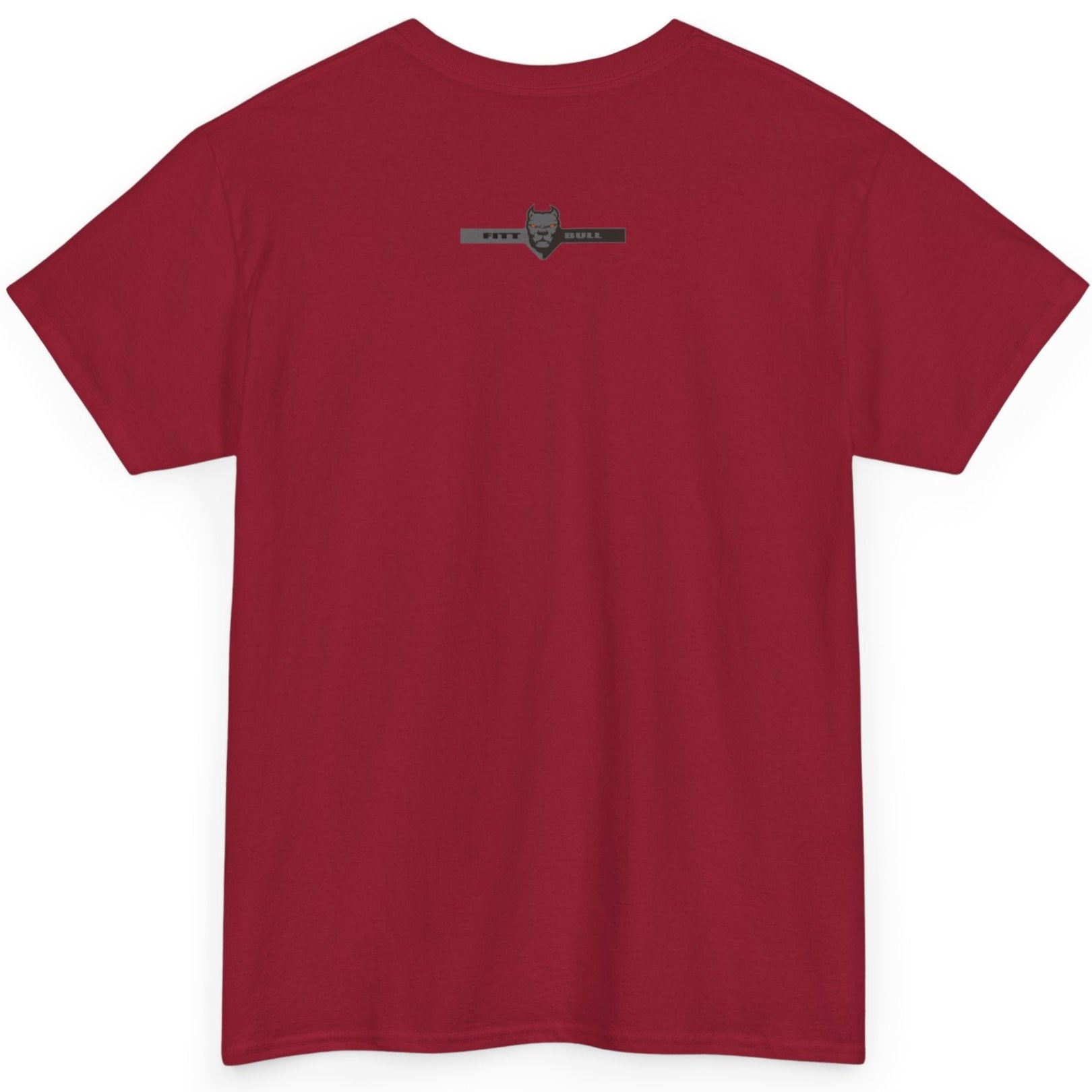 A Fitbull t-shirt with a Conquer motivational graphic design back red.
