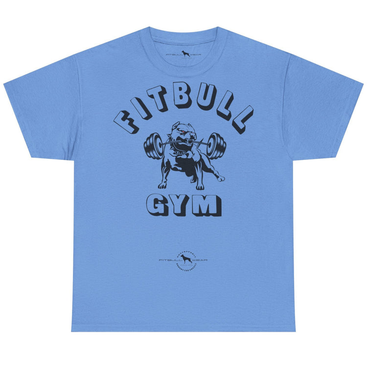 Light blue t-shirt with 'Fitbull Gym' graphic on a white background