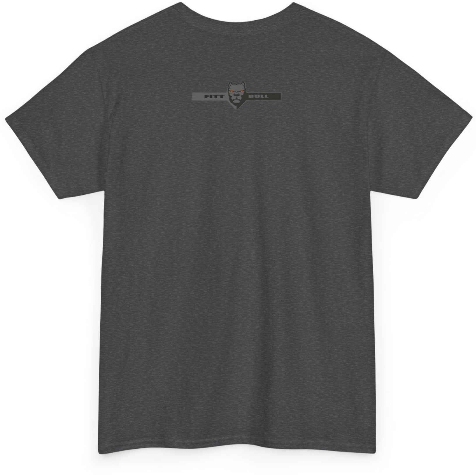 Fitbull sport Gray t-shirt with a logo on the back against a white background
