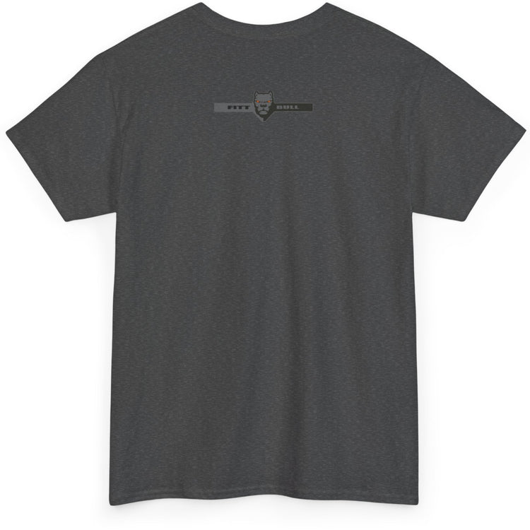 Fitbull sport Gray t-shirt with a logo on the back against a white background