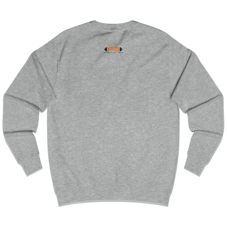 grey, sporty hoodie for fitness and crossfit by the Fitbull brand, branded with a logo, back view.