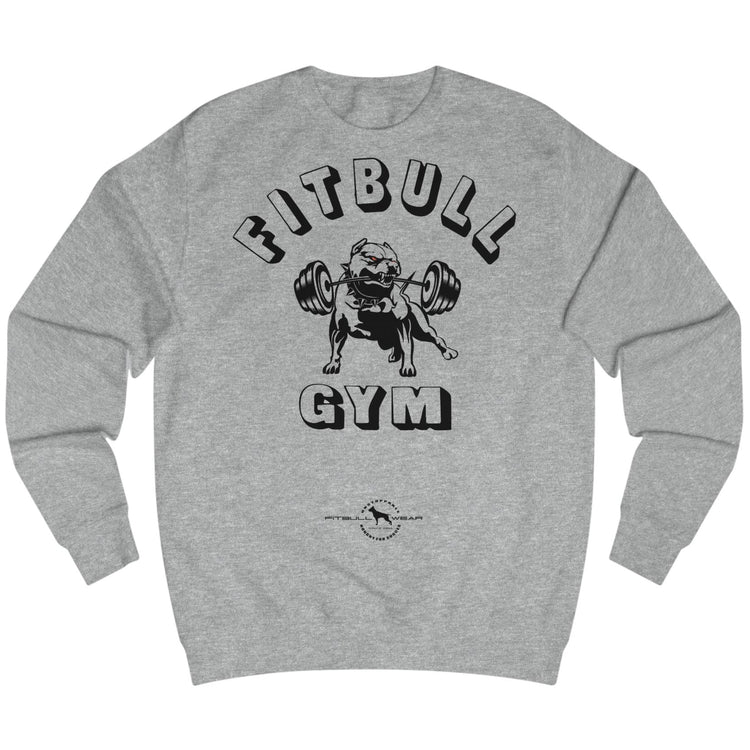 grey sports hoodie for fitness and bodybuilding from the Fitbull brand, branded with a motivating motif, front view