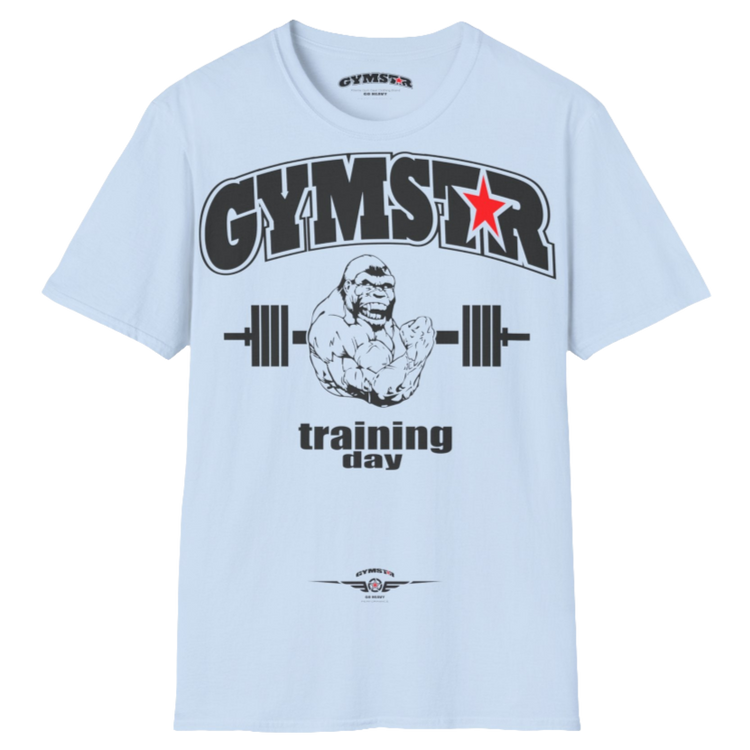 A light blue Gymstar fitness t-shirt with the brand logo and a motivating design Training Day. Front view.