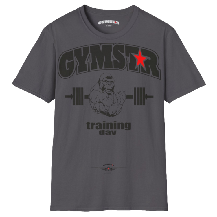 A sports grey Gymstar fitness t-shirt with the brand logo and a motivating design Training Day.  Front view.