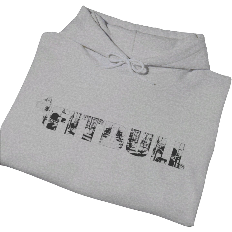 a grey, sporty hoodie for bodybuilding and fitness training of the brand Fitbull, branded with the company logo