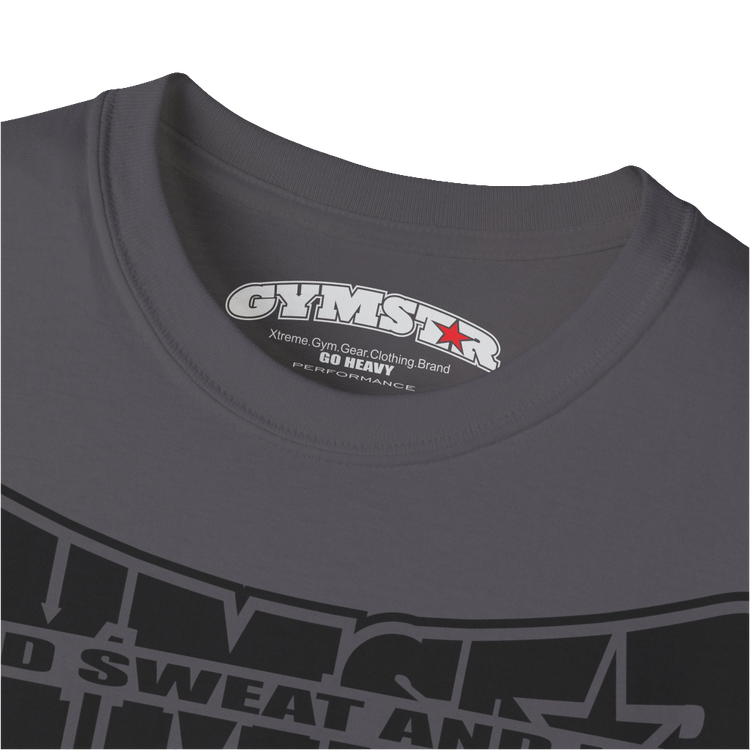 A  sport grey Gymstar t-shirt with a graphic print Blood, Sweat and Iron and a barbell in the center, designed for fitness and sports. Front logo close up view.