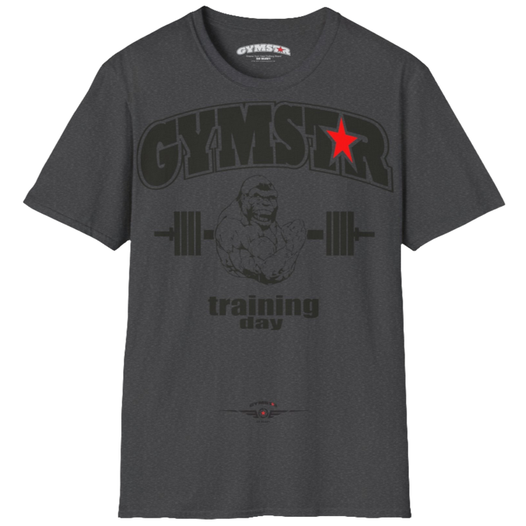 A grey Gymstar fitness t-shirt with the brand logo and a motivating design Training Day. Fornt view.