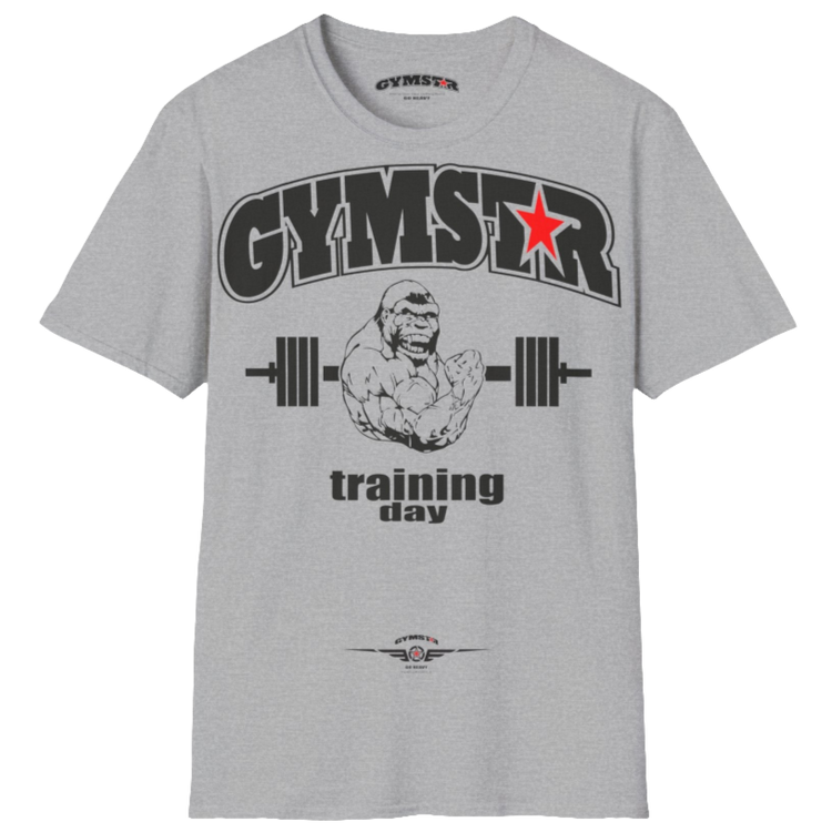 A silver grey Gymstar fitness t-shirt with the brand logo and a motivating design Training Day. Front view.