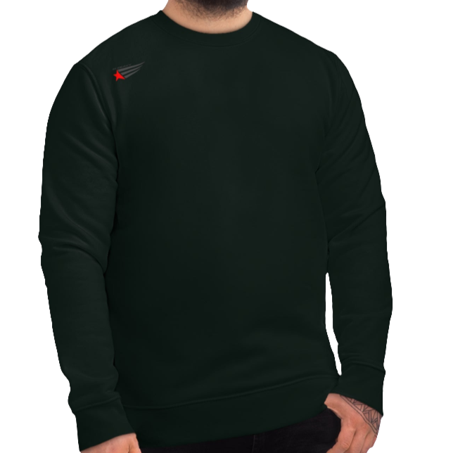 A person wearing a dark green unisex fitness Gymstar sweatshirt with a small red logo on the chest.