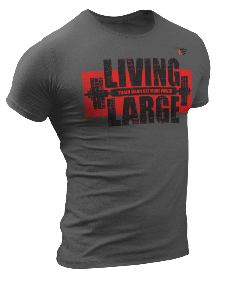 The image shows the front of a grey sports t-shirt Gymstar with the text 'LIVING LARGE' and a graphic of a barbell and logo.