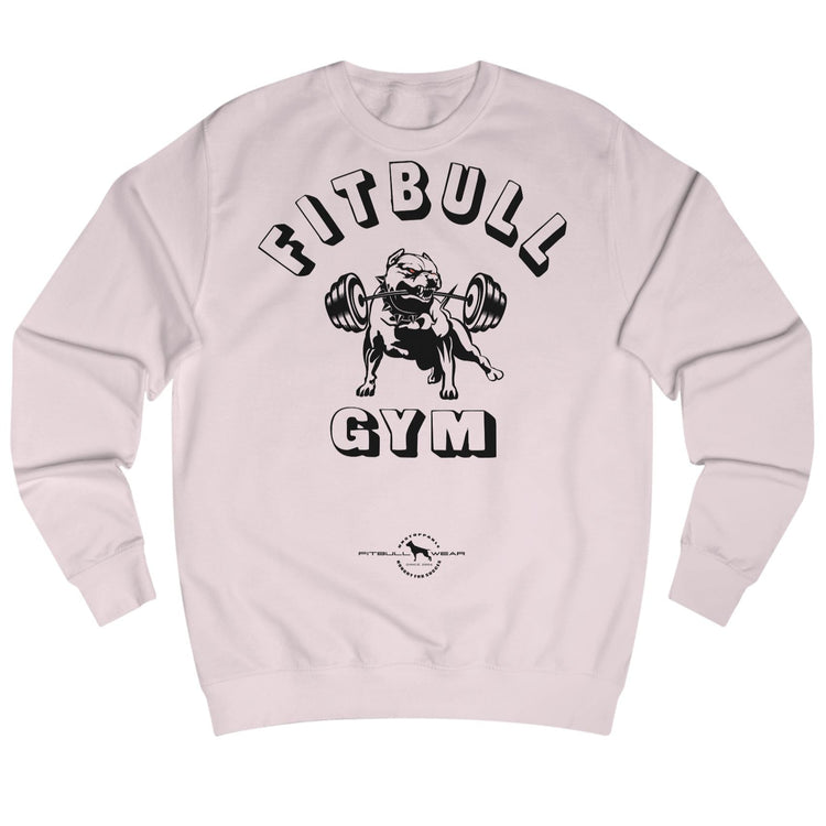 pink sports hoodie for fitness and bodybuilding from the Fitbull brand, branded with a motivating motif, front view