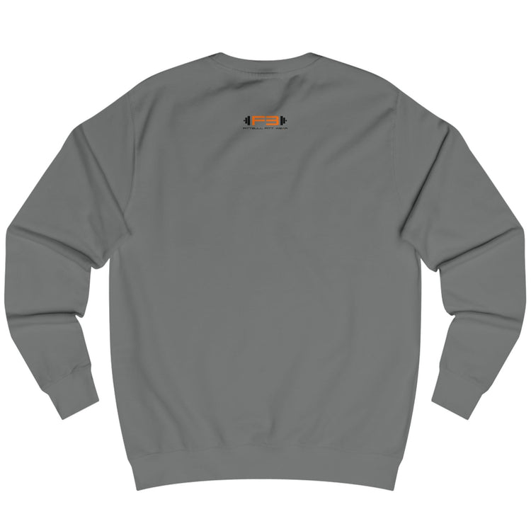 sharcoal, sporty,  fitness and bodybuilding hoodie of the Fitbull brand branded with logo, back view