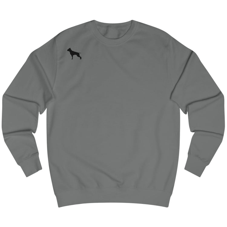 Sharcoal, sporty hoodie for fitness and crossfit by the Fitbull brand, branded with a logo, Front view.