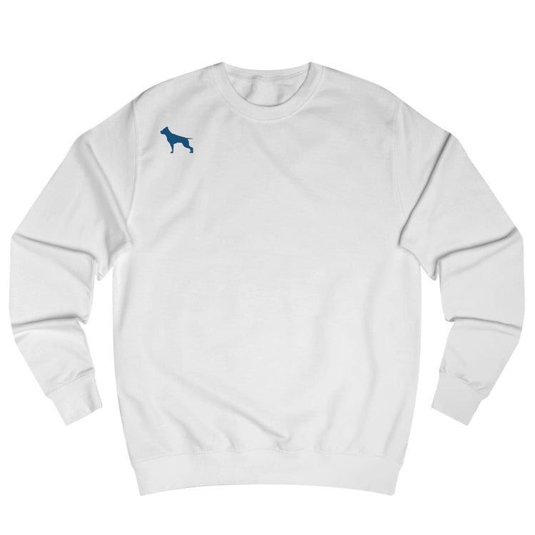 White, sporty hoodie for fitness and crossfit by the Fitbull brand, branded with a logo, Front view.