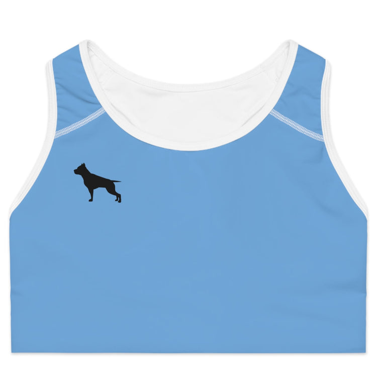 eine blau  Fitbull-Sport-BH ein Foto  Vorderansicht