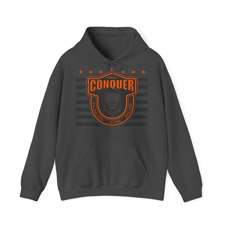 Dark gray Fitbull hoodie with 'Detroit Tigers' logo on a white background