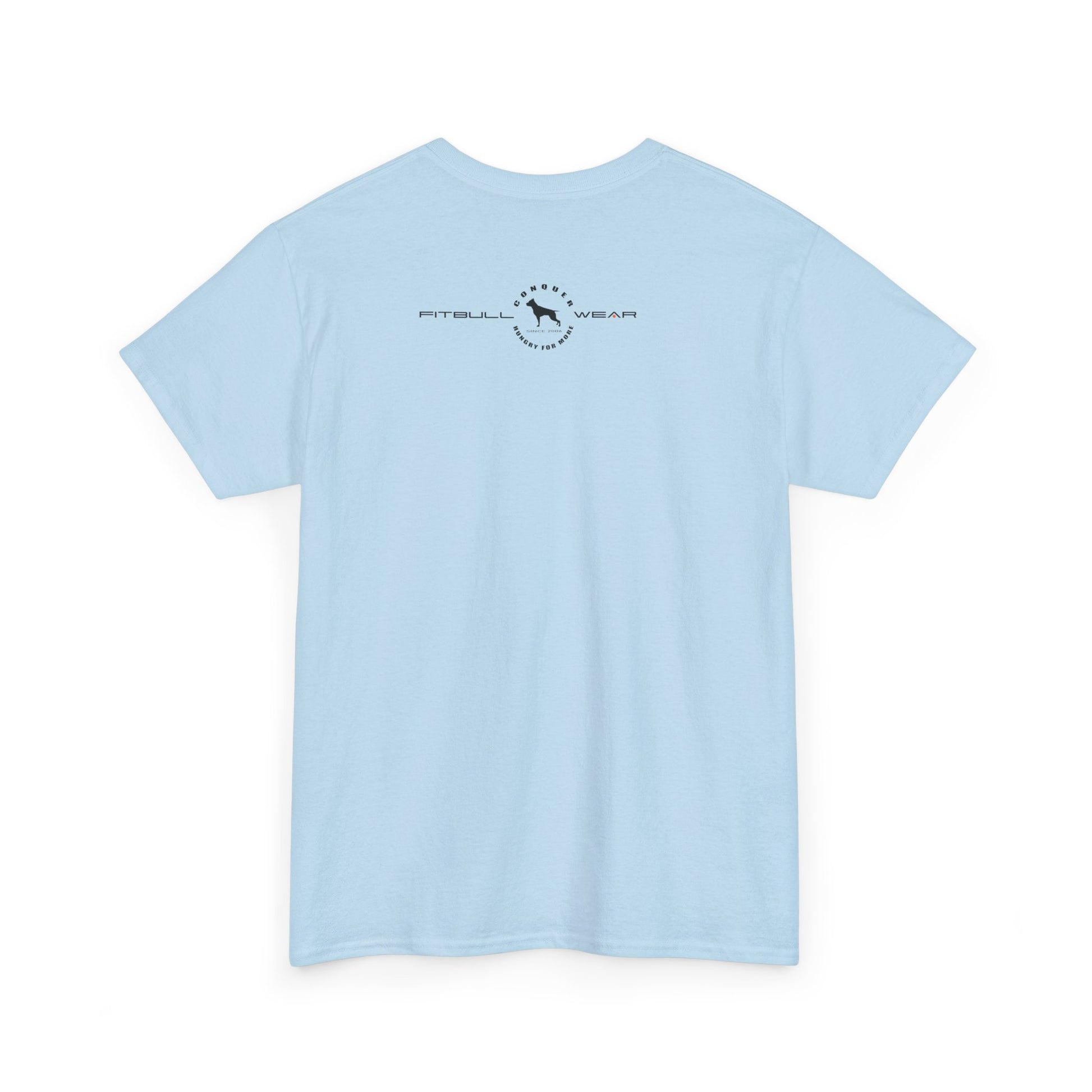 Light blue fitness FITBULL t-shirt with a logo on the back against a white background