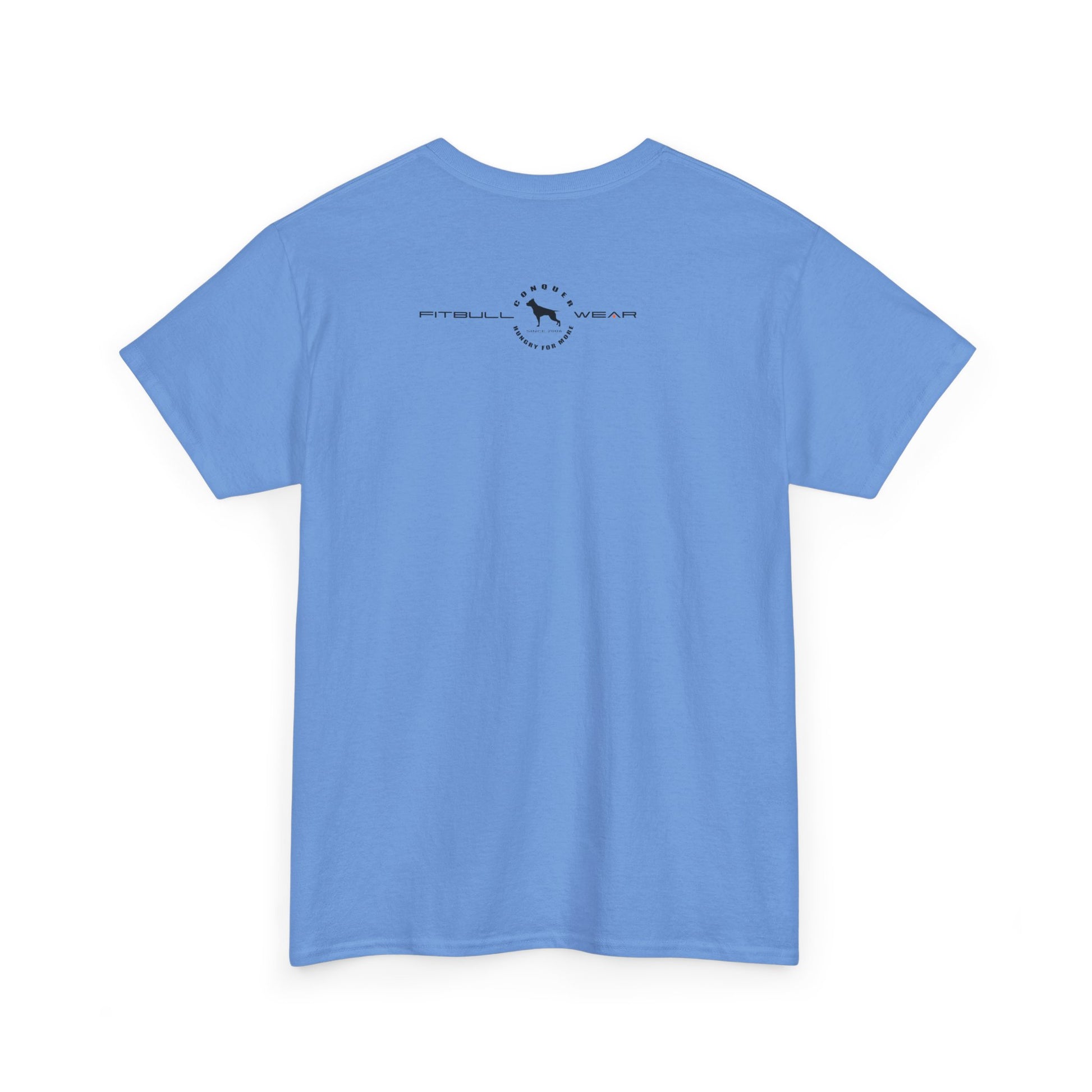 Light blue fitness FITBULL t-shirt with a logo on the back against a white background