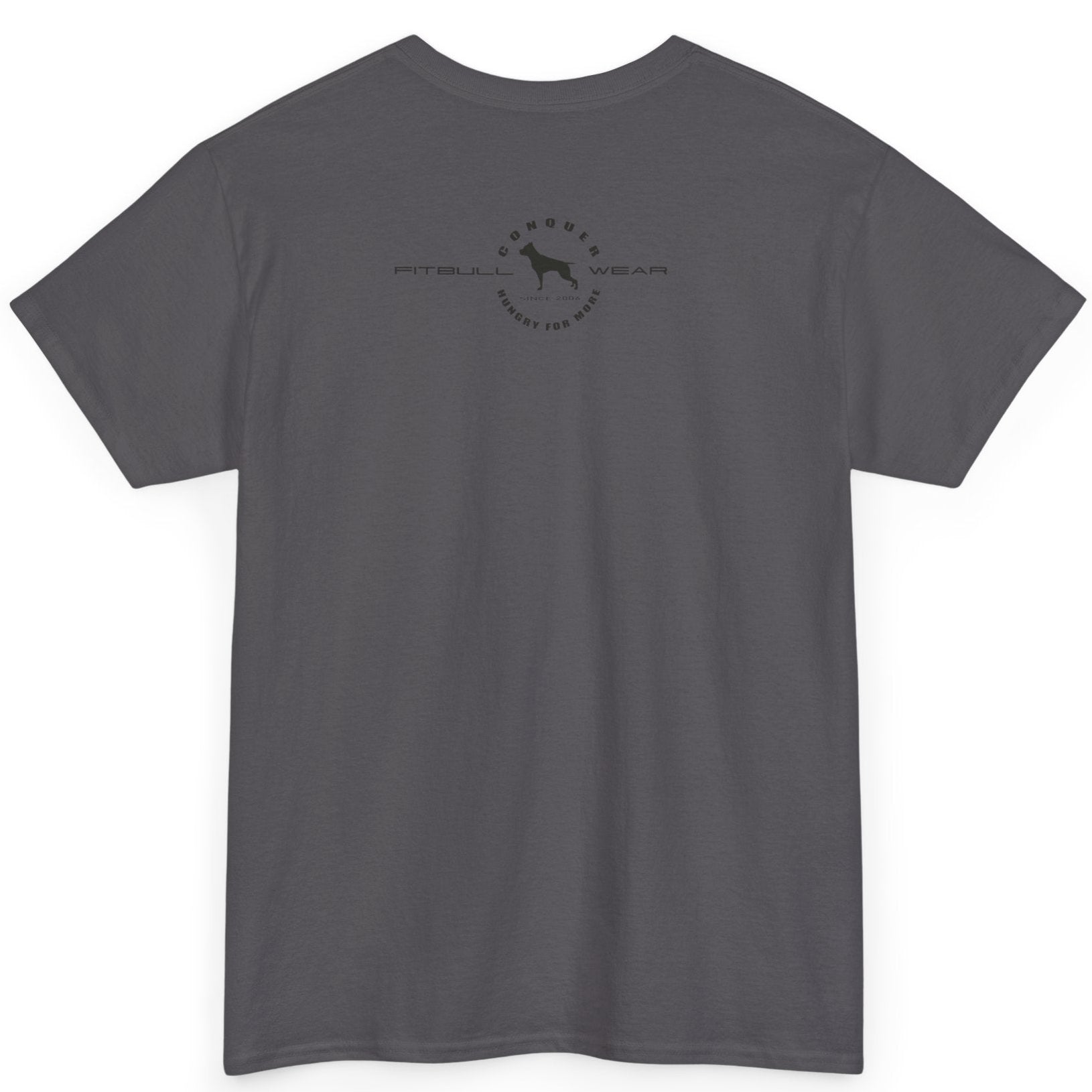 Gray t-shirt with a logo on the back against a white background