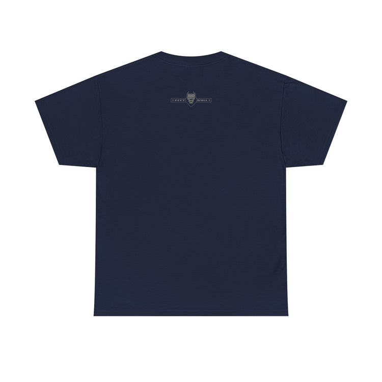 FITBULL Conquer Lion Shield Tee — Vintage Athletic Badge, Distressed Stars & Stripes