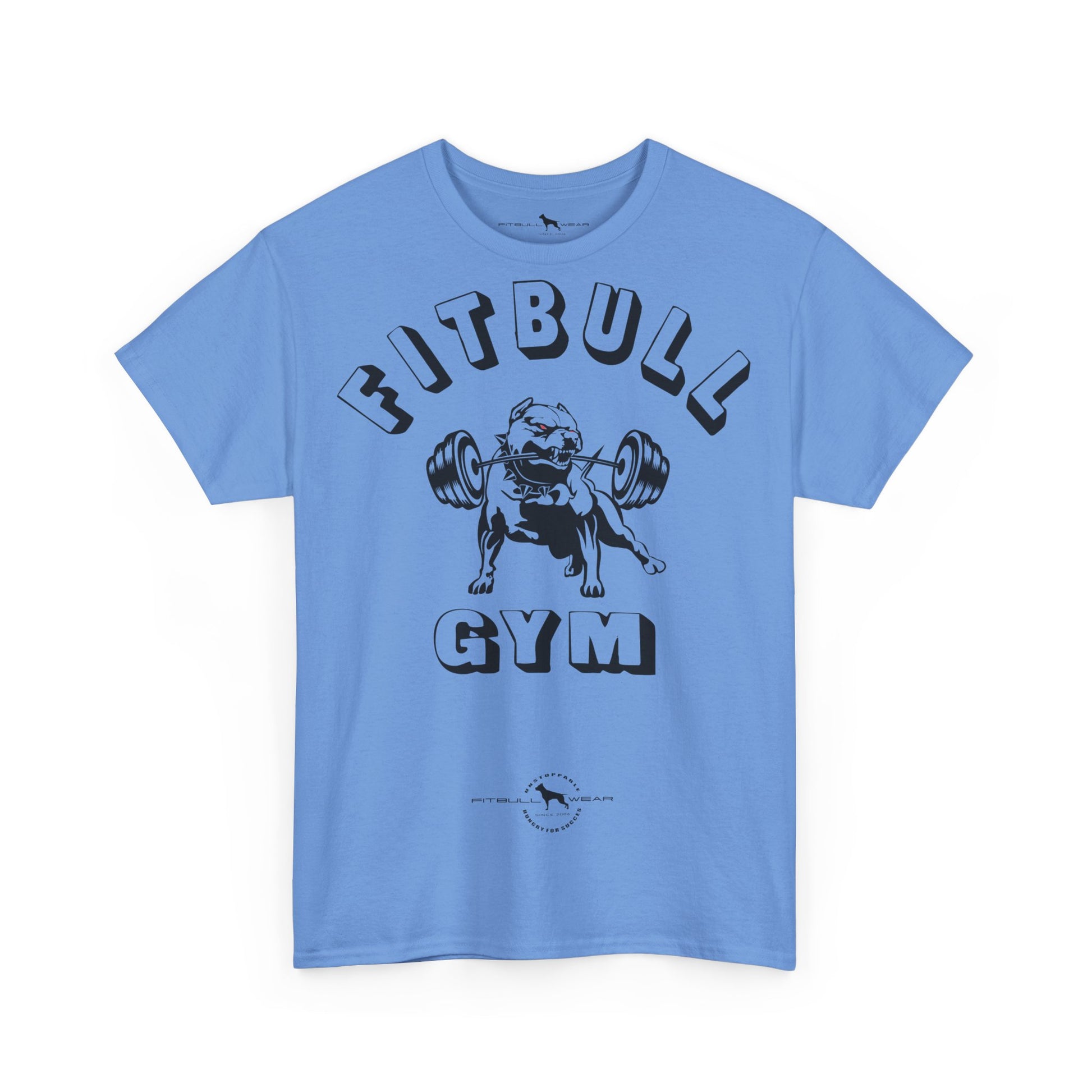 Light blue fitness FITBULL t-shirt with black graphic design on a white background