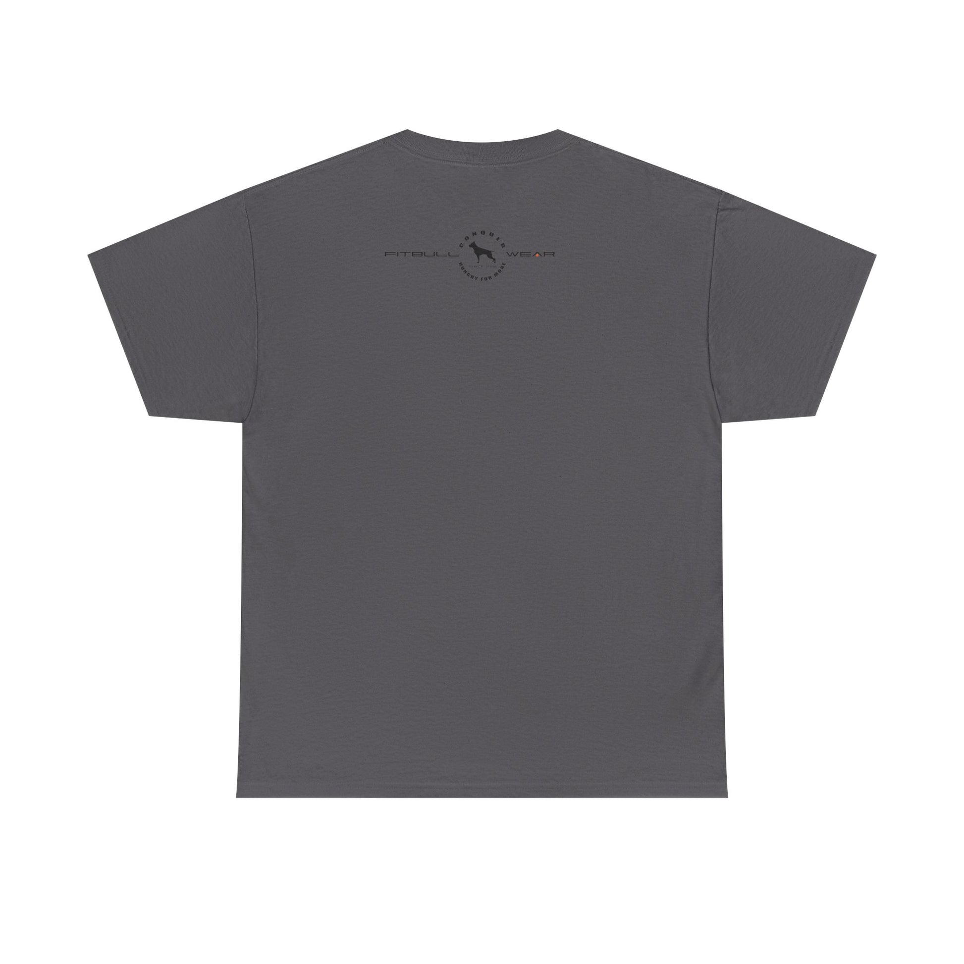 Gray fitness FITBULL t-shirt with a logo and text on the back against a white background