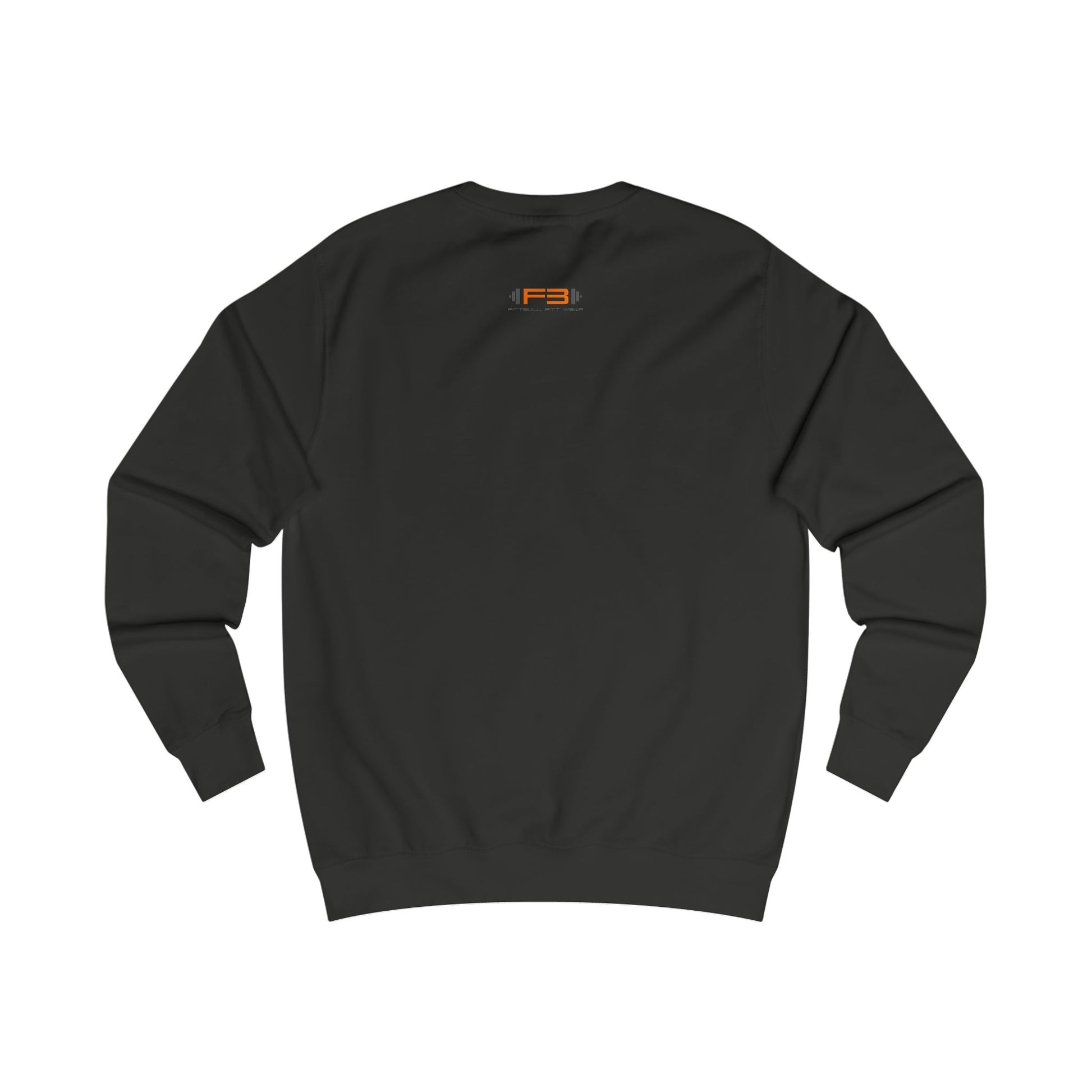 black, sporty,  fitness and bodybuilding hoodie of the Fitbull brand branded with logo, back view