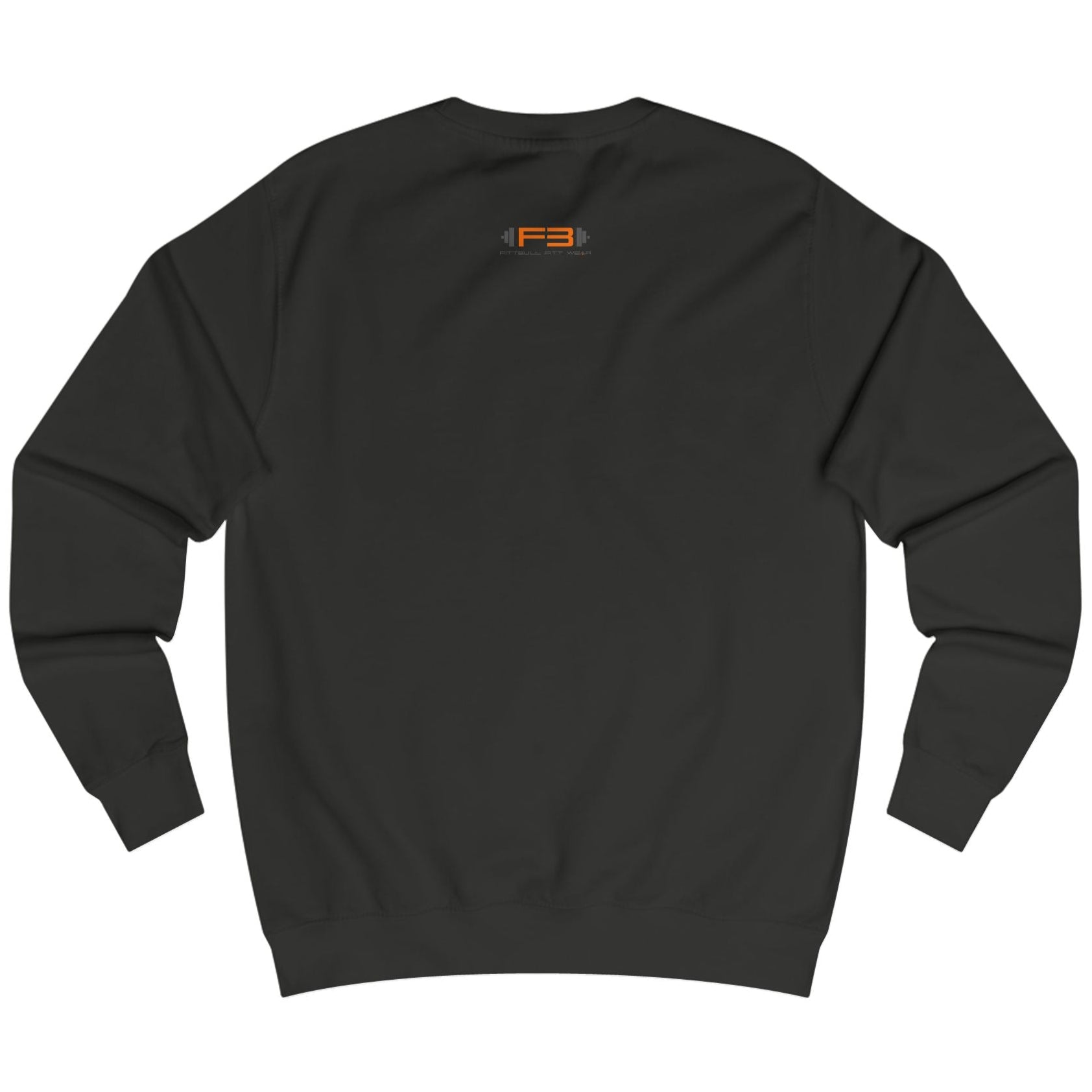 Black, sporty hoodie for fitness and crossfit by the Fitbull brand, branded with a logo, back view.