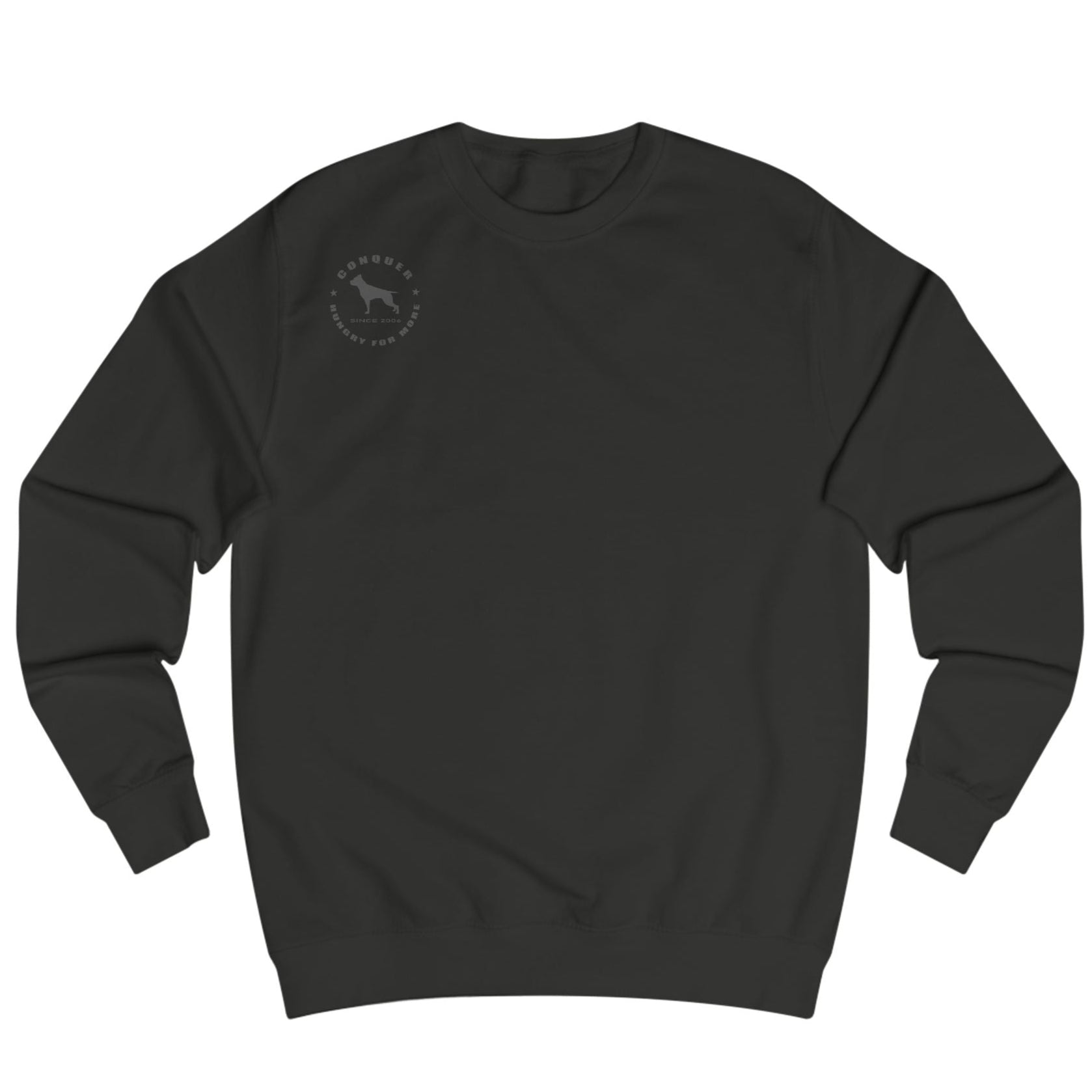 black, sporty,  fitness and bodybuilding hoodie of the Fitbull brand branded with logo, front view