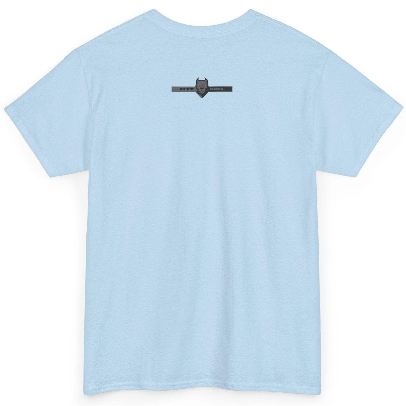 A Fitbull t-shirt with a Conquer motivational graphic design back sky blue.