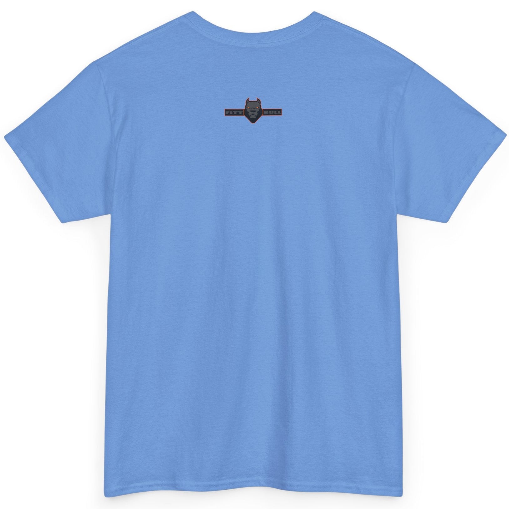 Carolina blue Fitbull t-shirt with a small black logo on the back. Fitness and Bodybuilding motivating.