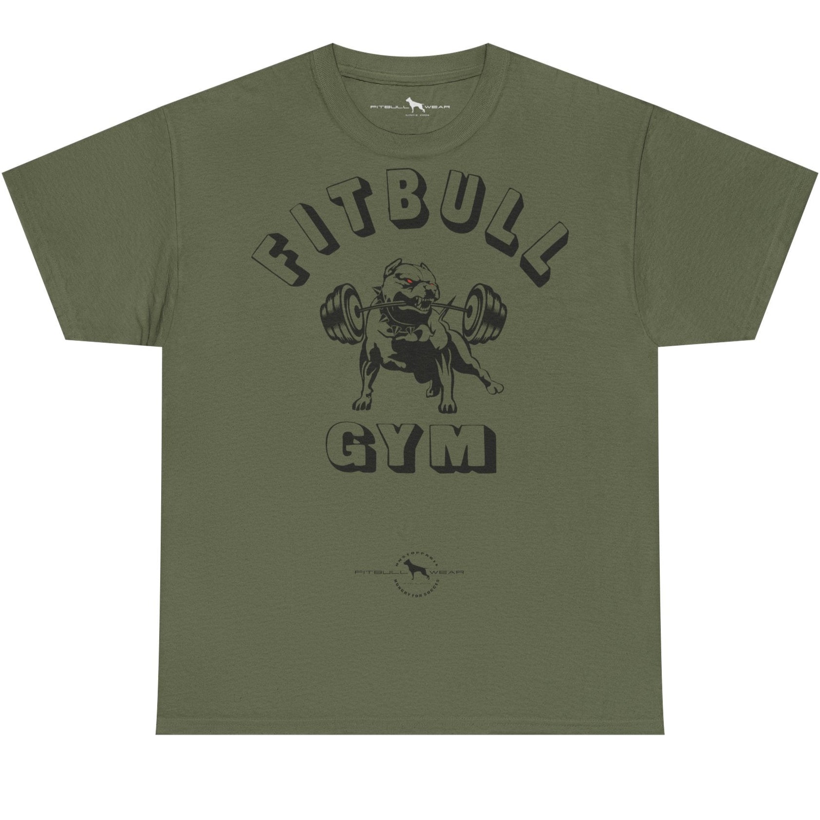 Green t-shirt with 'Fitbull Gym' graphic on a white background