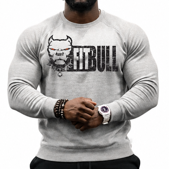 Man wearing a gray Fitbull sweatshirt with a logo and text, black pants, and colorful sneakers on a white background