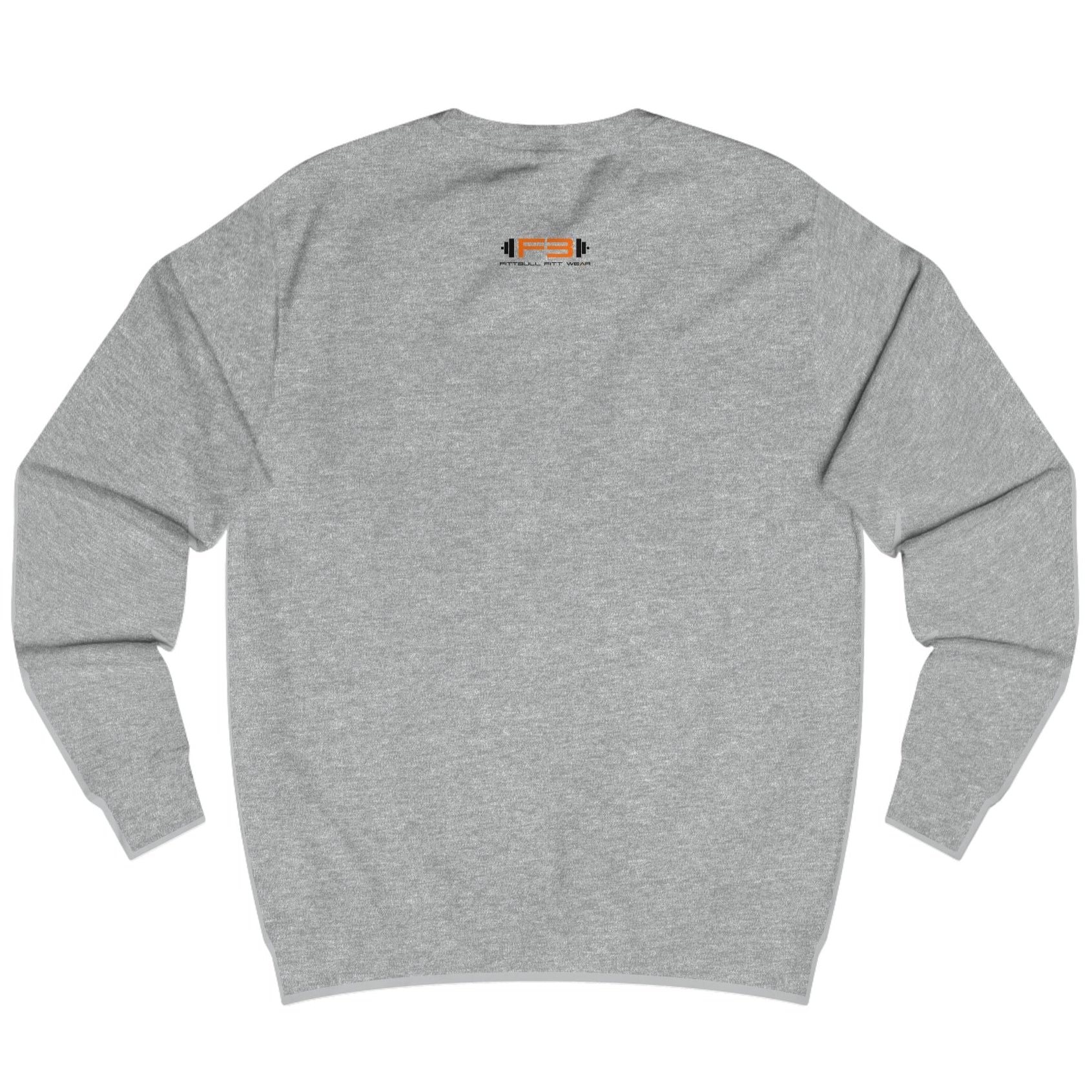 grey Sports hoodie for fitness and bodybuilding from the Fitbull brand, branded with a motivating motif, back view.