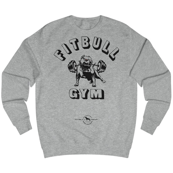 grey sports hoodie for fitness and bodybuilding from the Fitbull brand, branded with a motivating motif, front view
