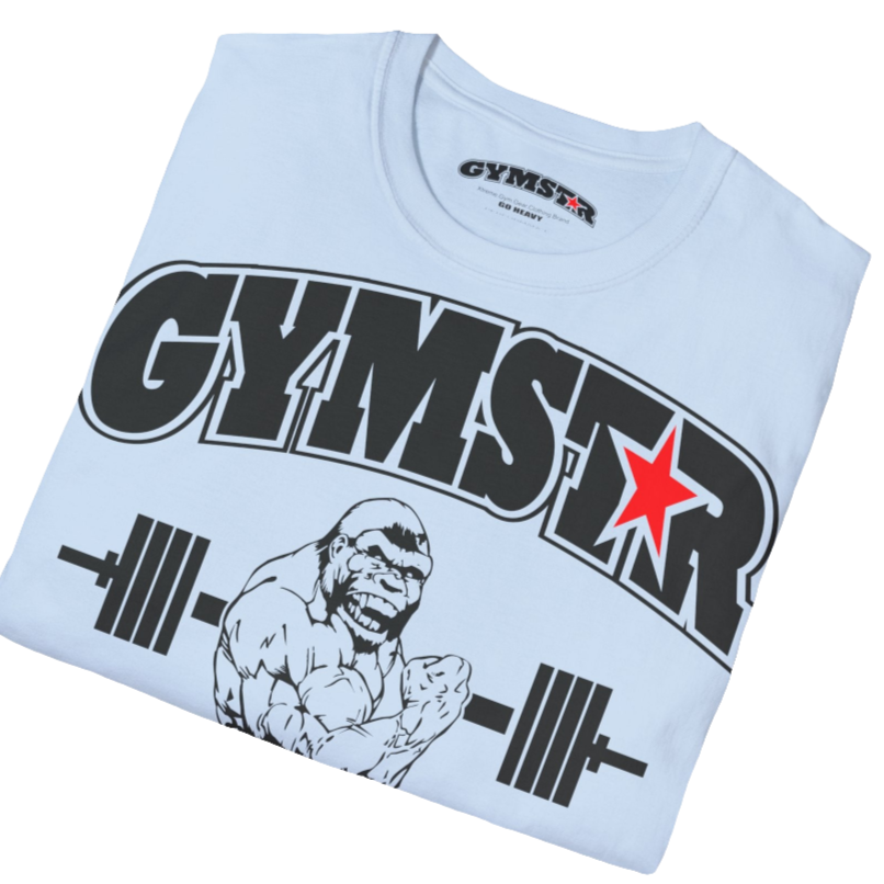 A light blue Gymstar fitness t-shirt with the brand logo and a motivating design Training Day. Midle lose up front view.