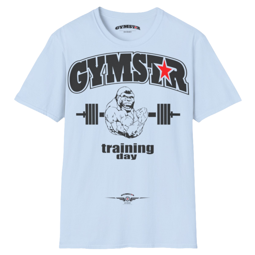 A light blue Gymstar fitness t-shirt with the brand logo and a motivating design Training Day. Front view.