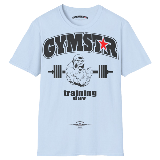 A light blue Gymstar fitness t-shirt with the brand logo and a motivating design Training Day. Front view.