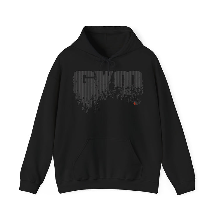A dark gray pullover hoodie with the text 'I STAND WITH THE PEOPLE OF IRAN' printed in white capital letters across the chest, displayed on a solid white background.