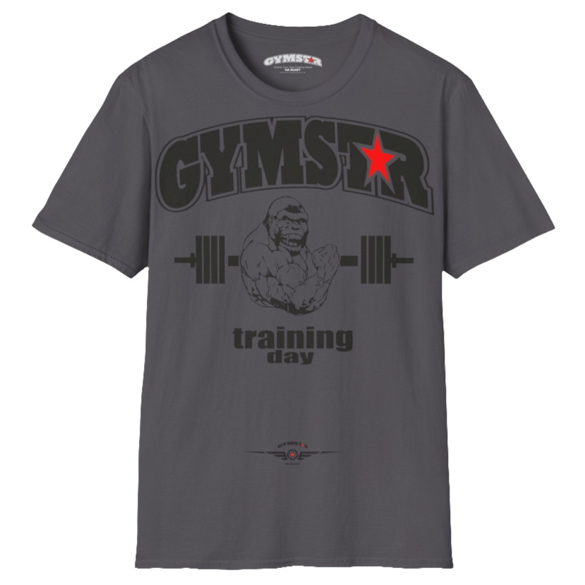 A sports grey Gymstar fitness t-shirt with the brand logo and a motivating design Training Day.  Front view.