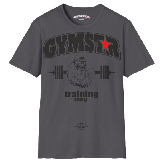 A sports grey Gymstar fitness t-shirt with the brand logo and a motivating design Training Day.  Front view.