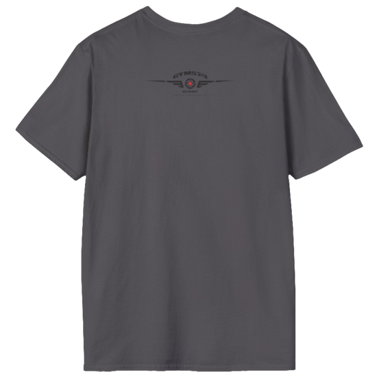 A sport grey Gymstar t-shirt with a graphic print Allwinner in the center, designed for fitness and sports. Rare view.