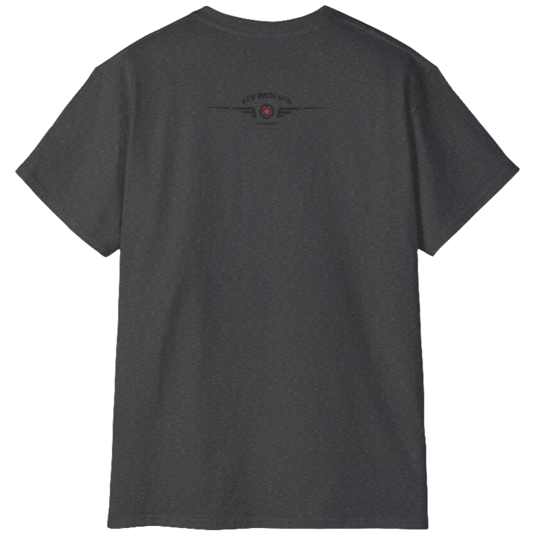 A  grey Gymstar t-shirt with a graphic print Blood, Sweat and Iron and a barbell in the center, designed for fitness and sports. Rear view.