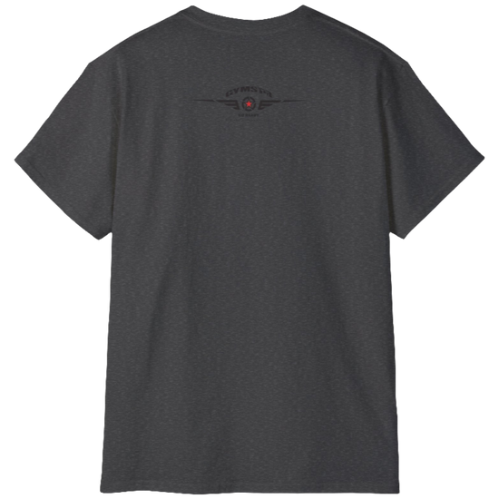 A  grey Gymstar t-shirt with a graphic print Blood, Sweat and Iron and a barbell in the center, designed for fitness and sports. Rear view.