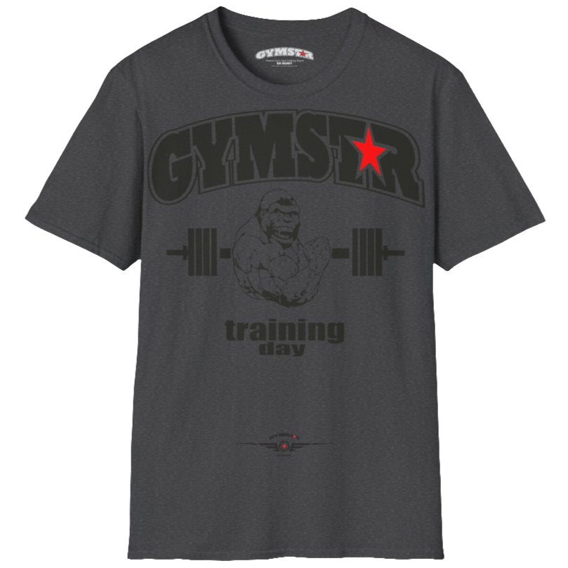 A grey Gymstar fitness t-shirt with the brand logo and a motivating design Training Day. Fornt view.
